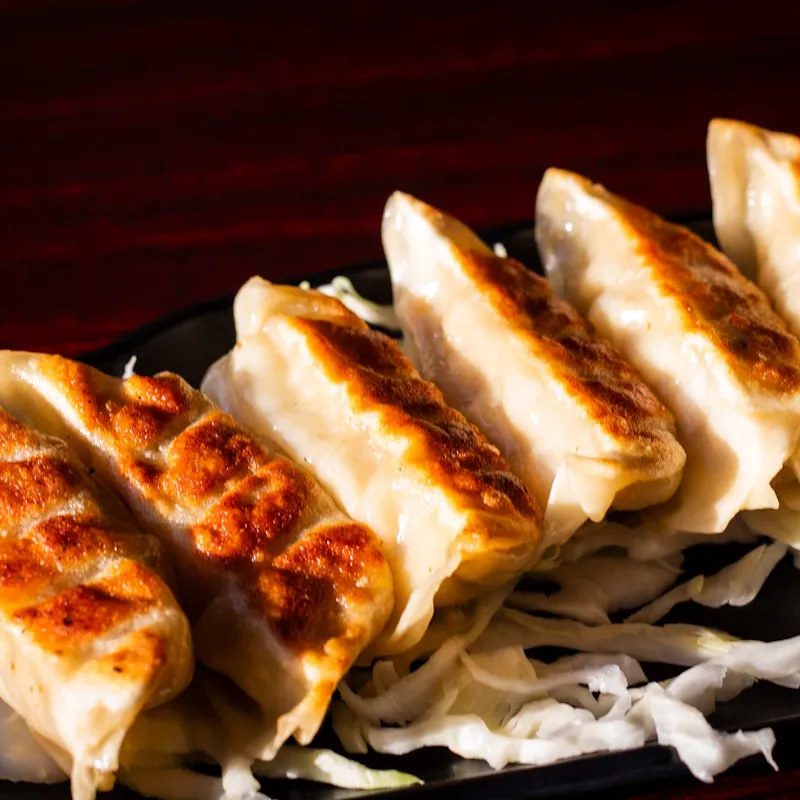 Gyozas de cerdo
