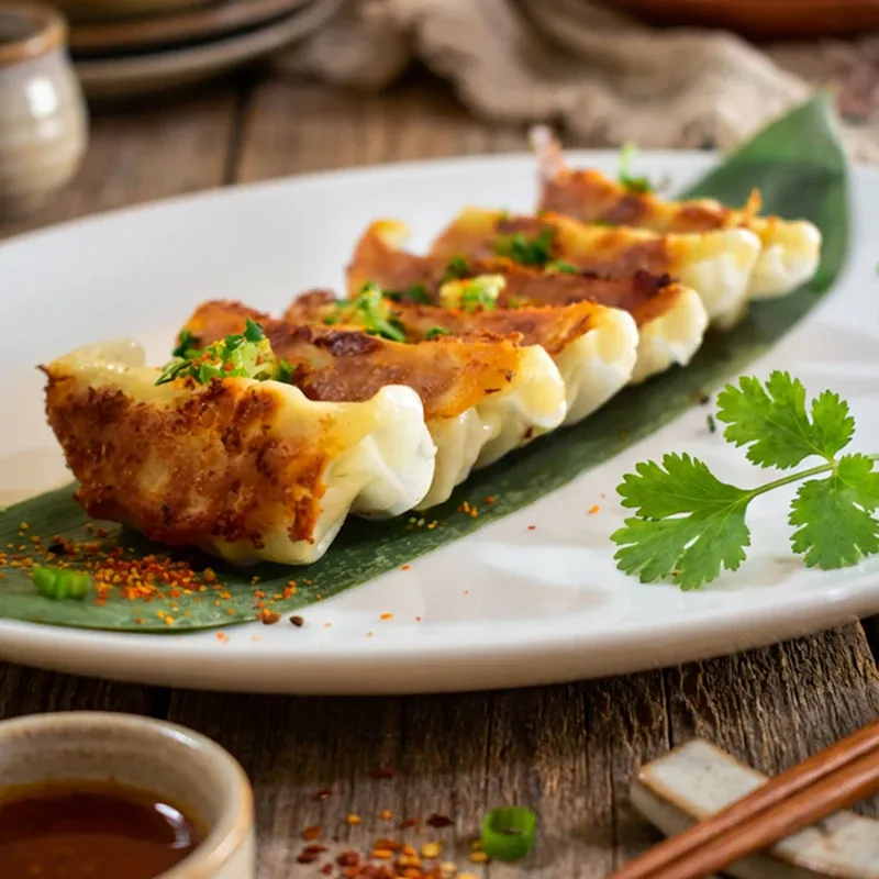 Gyozas de verduras